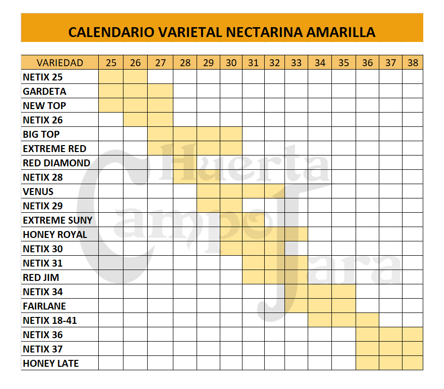 Calendario varietal nectarina amarilla Huerta Campo Jara