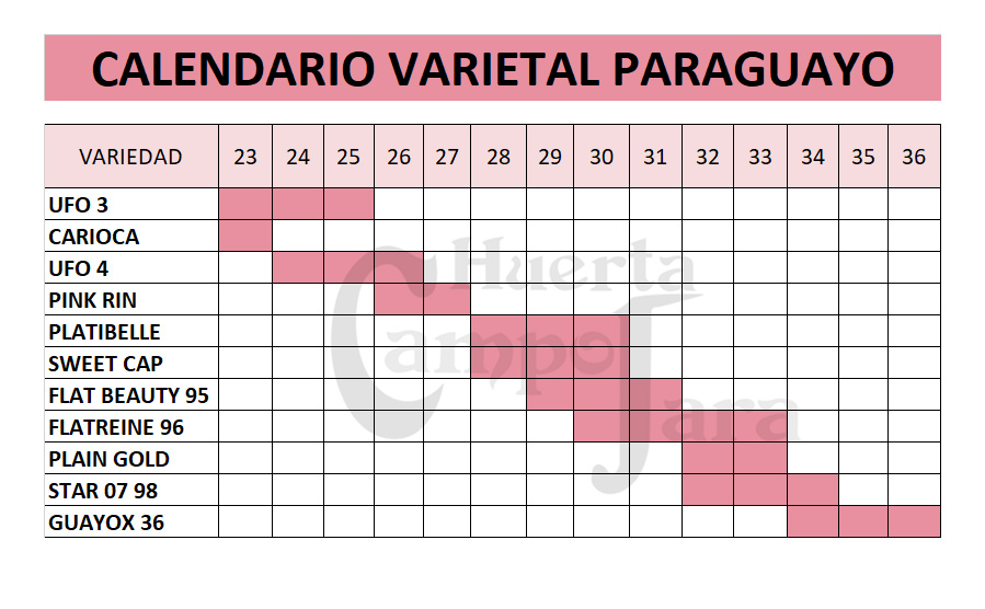 Calendario recolección Paraguayo y Platerina - Huerta Campo Jara