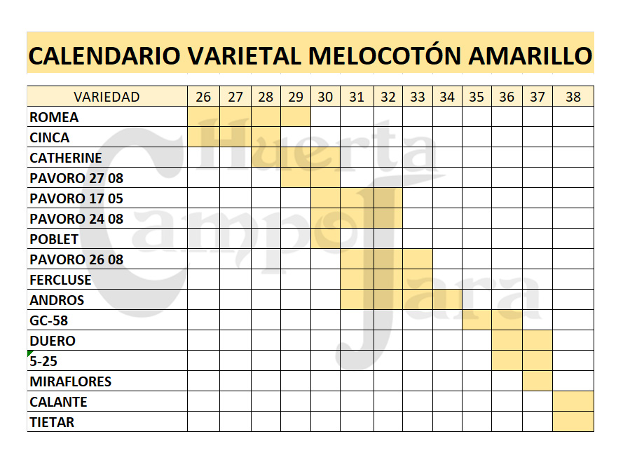 Calendario recolección Melocotón - Huerta Campo Jara